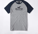 Camiseta Hollister - Masculina